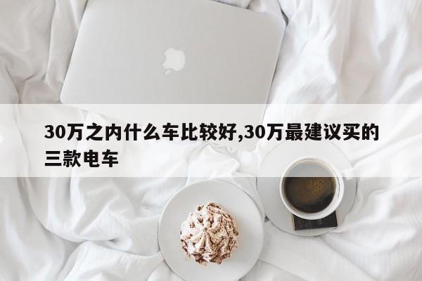 30万之内什么车比较好,30万最建议买的三款电车