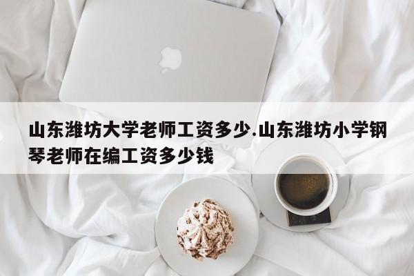 山东潍坊大学老师工资多少.山东潍坊小学钢琴老师在编工资多少钱