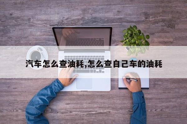 汽车怎么查油耗,怎么查自己车的油耗
