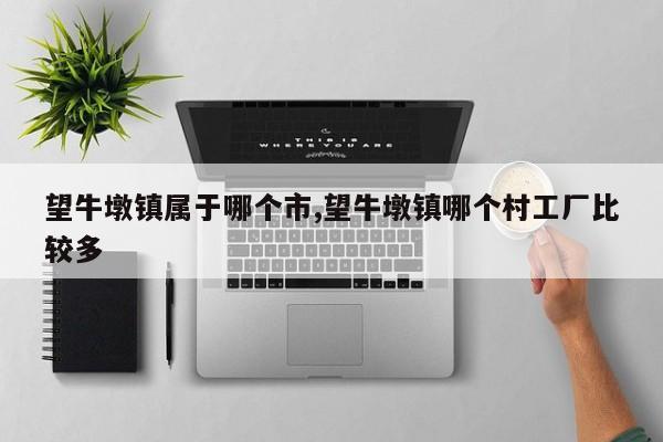 望牛墩镇属于哪个市,望牛墩镇哪个村工厂比较多