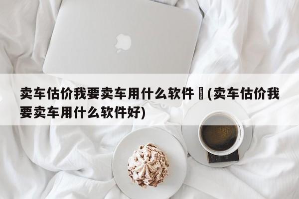 卖车估价我要卖车用什么软件︰(卖车估价我要卖车用什么软件好)