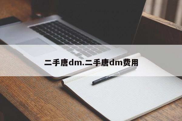 二手唐dm.二手唐dm费用