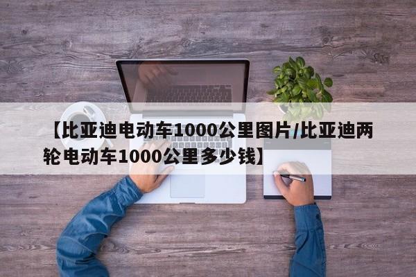 【比亚迪电动车1000公里图片/比亚迪两轮电动车1000公里多少钱】