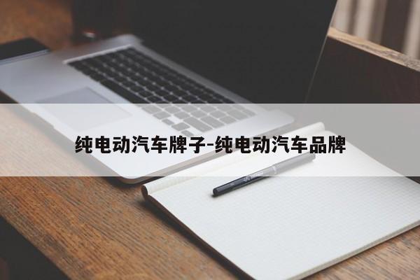 纯电动汽车牌子-纯电动汽车品牌