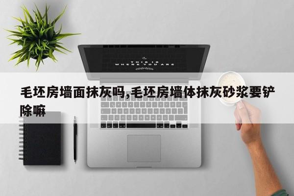 毛坯房墙面抹灰吗,毛坯房墙体抹灰砂浆要铲除嘛