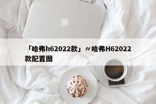 「哈弗h62022款」〃哈弗H62022款配置图